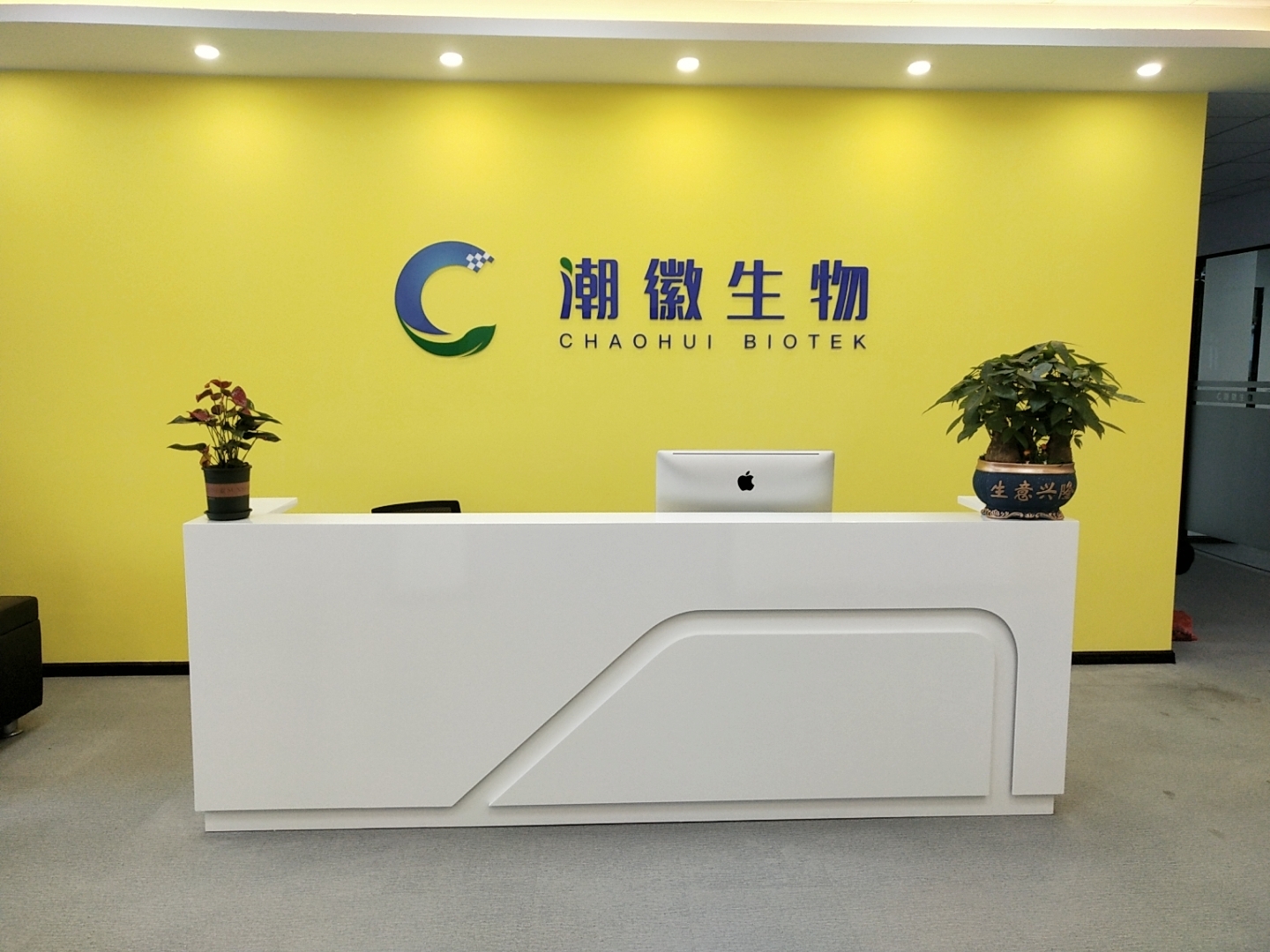 世俱杯官网净化
